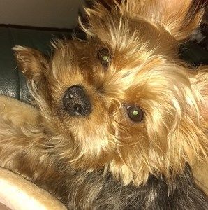 Meet your Posher, Eric